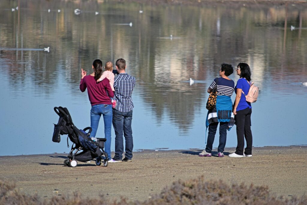 家族で楽しむごはんのまとめと簡単な調理法は？