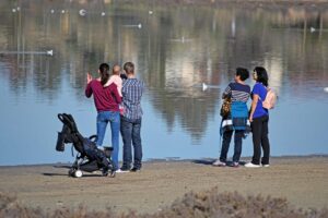 家族で楽しむごはんのまとめと簡単な調理法は？