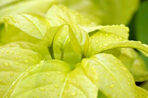 家族で楽しめるシニアフレンドリーなごはんスポットは？