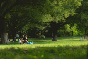 家族で楽しむごはんにぴったりなタコスパーティーのアイデアは？
