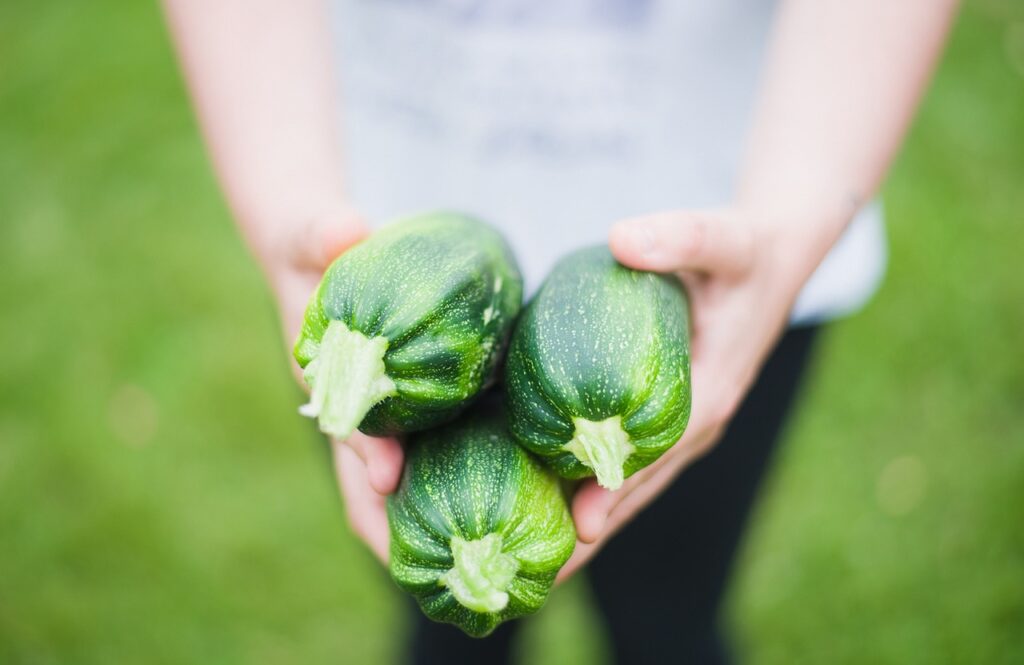家族で楽しむごはんに必要な野菜は350g取れる？