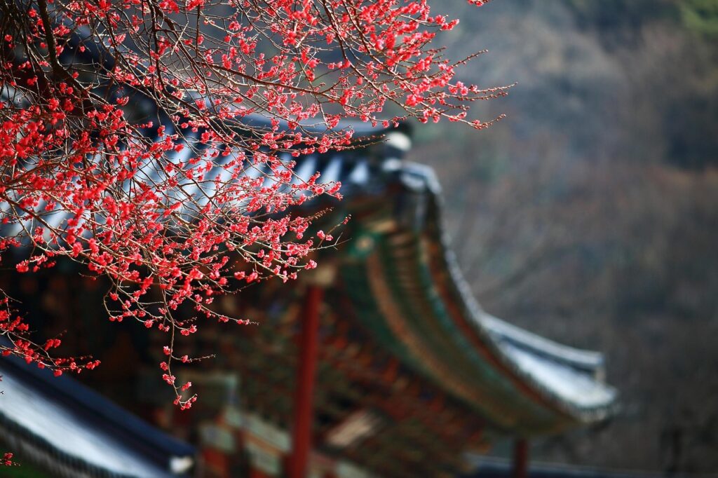 家族で楽しむ韓国風ごはんの簡単レシピは？