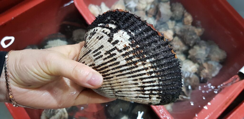 家族で楽しむ無添加ごはんミールキットの魅力とは？