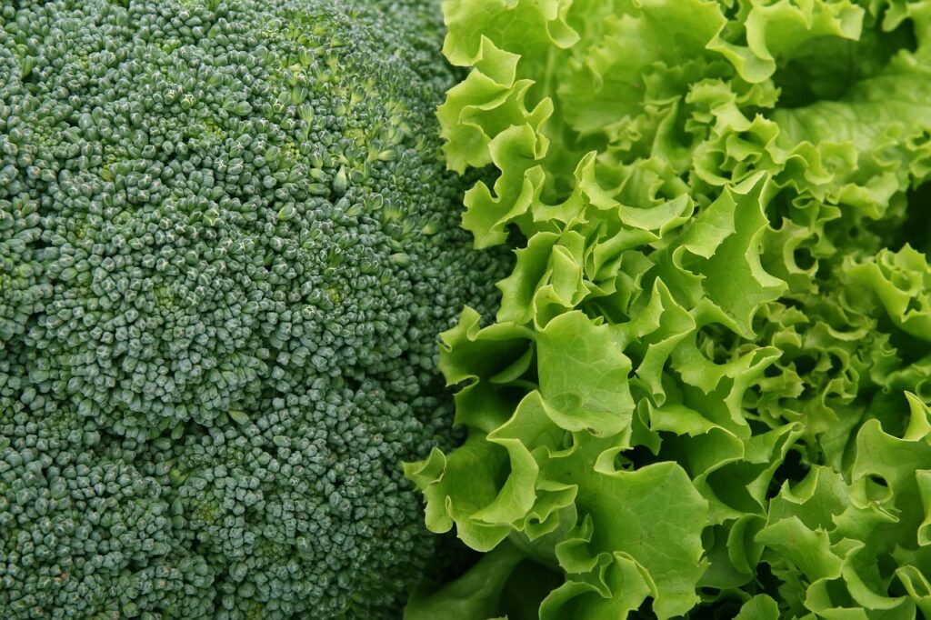子どもも喜ぶ野菜レシピで簡単に作れるおすすめ料理は？